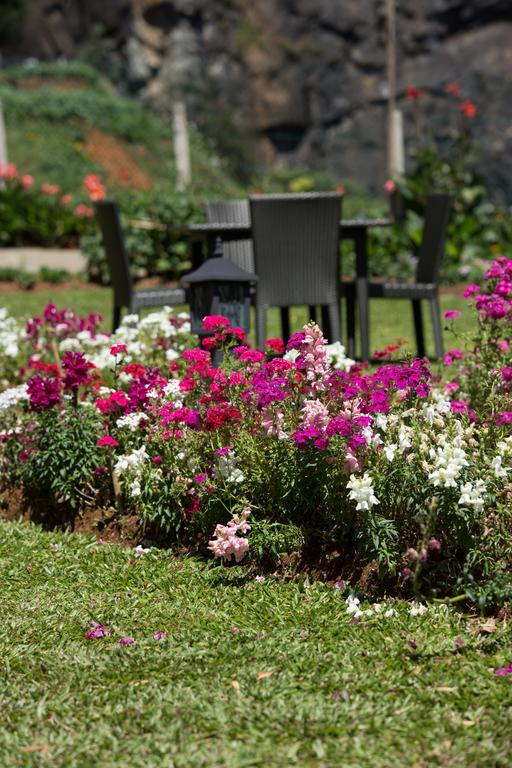 Serene Villa Nuwara Eliya Eksteriør bilde